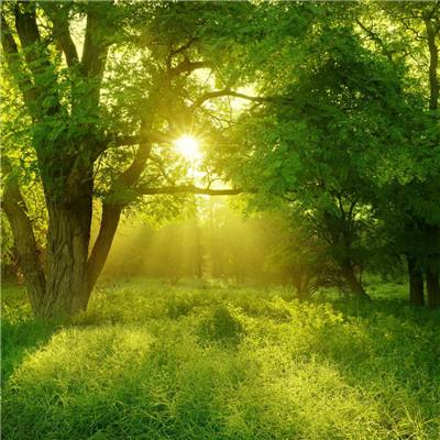 英雄联盟外围平台网址截图